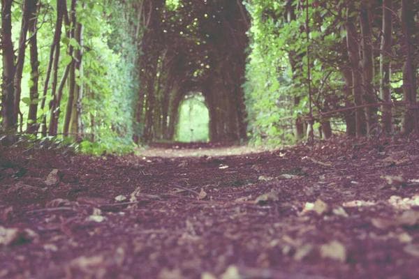 AI로 만드는 나만의 SNS스타일 이미지